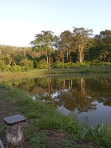 eine Bank neben einem Teich mit Bäumen in der Unterkunft Dusun Rimbun Agro Farmstay 2 in Kuala Kerai
