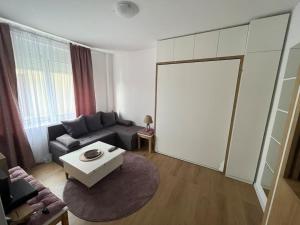 Gallery image of Apartment Centar in Podgorica