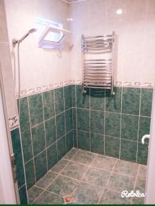 W łazience znajduje się prysznic z zielonymi kafelkami. w obiekcie Green garden Mubariz w mieście Qəbələ