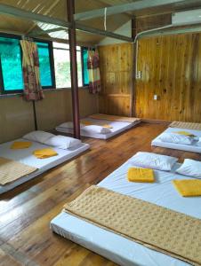 a room with four beds in it with wooden floors at Trần Thực homestay-Ba bể in Ba Be