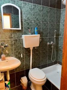 ein Bad mit einem WC, einem Waschbecken und einer Dusche in der Unterkunft Sanja apartment in Prčanj