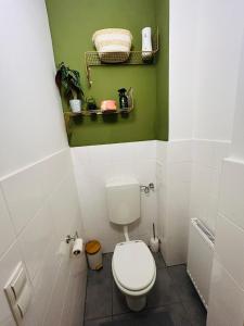 ein Badezimmer mit einem WC und einer grünen Wand in der Unterkunft Apartment 5 min Schönbrunn Gloriette, Direct to City Center, Free Parking in Wien