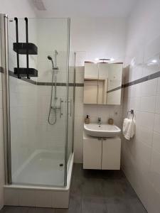 y baño con ducha y lavamanos. en Apartment 5 min Schönbrunn Gloriette, Direct to City Center, Free Parking, en Viena