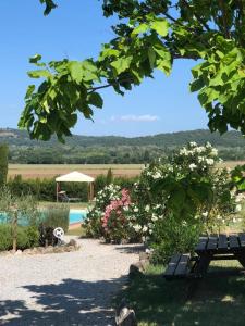 a park bench sitting in the shade of a tree at Casa Country House Girasole vakantie huis-WAKACJE HUIS in Asciano