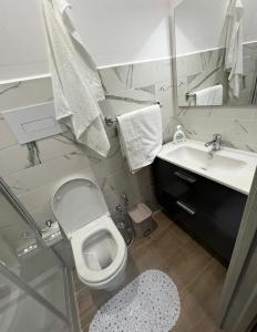 a bathroom with a toilet and a sink at Affittacamere Venere in Pietracatella