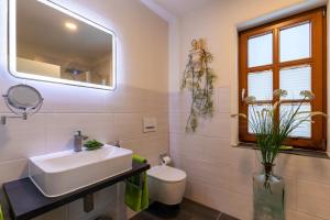 een badkamer met een wastafel, een toilet en een spiegel bij Ferienwohnung-Meiser in Oberwaroldern