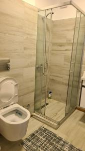 W łazience znajduje się toaleta i przeszklony prysznic. w obiekcie Wild River Guesthouse w mieście Përmet