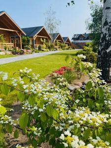 a garden of white flowers in front of a house at Osada Chmiel in Chmielno