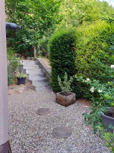un jardín con un conjunto de escaleras y un arbusto en la roseraie, en Fréland