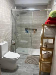 La salle de bains est pourvue d'une douche, de toilettes et d'une porte de douche en verre. dans l'établissement Palm Beach Apartment in La Duquesa, à Manilva