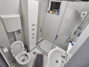 Koupelna v ubytování Apartman Jovanovic + 31 fotografií