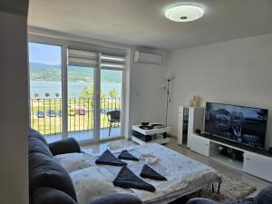 TV a/nebo společenská místnost v ubytování Apartman Jovanovic