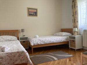 1 dormitorio con 2 camas y alfombra en Apartments Deranja, en Dubrovnik