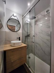 Un baño con ducha con lavabo y espejo. en Charment studio proche Paris 15, en Malakoff