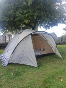 une tente assise dans l'herbe à côté d'un arbre dans l'établissement La Billardière Camping à la Ferme, à Le Ménil-Ciboult