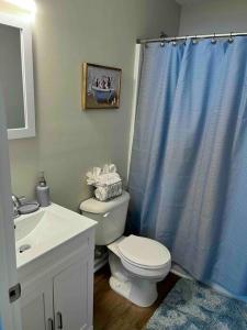 a bathroom with a toilet and a blue shower curtain at New Cozy home: Near Stadium in Columbia