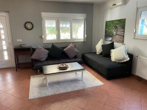 Gallery image of Ana's apartments in Petrcane +18 photos