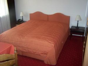 Postel nebo postele na pokoji v ubytování Hotel Am Ufer
