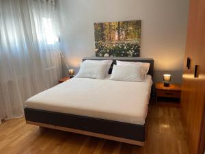 Gallery image of Ana's apartments in Petrcane
