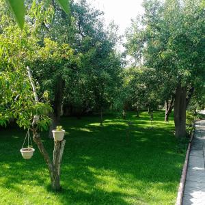 un patio verde con árboles y césped con columpio en Private Luxury Villa - Issyk Kul en Cholpon-Ata