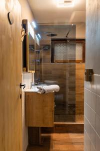 La salle de bains est pourvue d'un lavabo et d'une douche. dans l'établissement Au Repos de la Redoute, à Aywaille