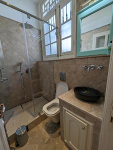 a bathroom with a toilet and a shower and a sink at Dar Hamouda Guest House - Médina de Tunis in Tunis