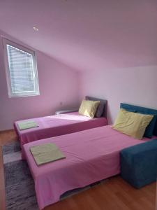 two beds in a room with purple walls at Vila Nastovski in Veles