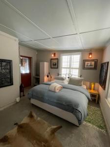 ein Schlafzimmer mit einem großen Bett in einem Zimmer in der Unterkunft The Karoo Moon Motel in Barrydale