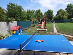 un parque infantil con una mesa azul y un columpio en Alexander apartman, en Gyula