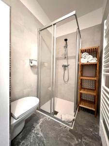 バードガシュタインにあるWohnung Stubnerkogelのバスルーム(シャワーブース、トイレ付)