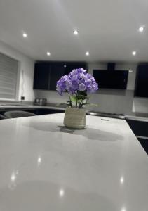a vase of purple flowers sitting on a kitchen counter at 4 bed private home in Colchester in Colchester