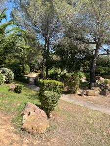 a garden with a rock and trees and a path at 2 pièces Saint Raphael rénové, classé 4 étoiles, 100 m plages, piscine, tennis, parc, terrasse, jardin privatif in Saint-Raphaël