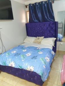 a bed with a purple headboard with a cat laying on it at Vee female hostel in Wupa