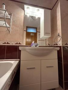 a bathroom with a sink and a mirror at Apartman JAGODA in Varaždin