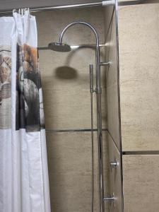 a shower in a bathroom with a shower curtain at Ferrara Rooms in Paços de Ferreira