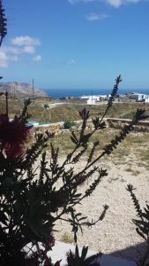 a view of the ocean from a plant at Marianthi Studios in Áno Meriá