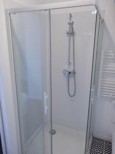d'une douche avec une porte en verre et un pommeau de douche. dans l'établissement Appartement Cosy - Deux pièces - Hyper centre, à Auxerre