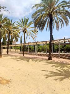 un grupo de palmeras en un parque en Sweet Home, en Esplugues de Llobregat