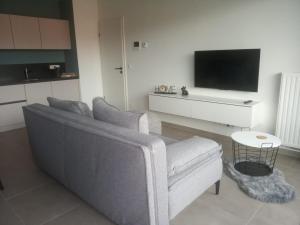 - un salon avec un canapé et une télévision dans l'établissement Santorini de durbuy, à Barvaux