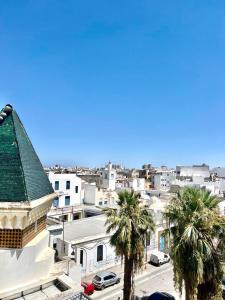 突尼斯的住宿－Sidi Mehrez HOTEL，享有棕榈树和建筑的城市美景