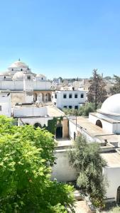 Blick auf eine Stadt mit Gebäuden und Bäumen in der Unterkunft Sidi Mehrez HOTEL in Tunis