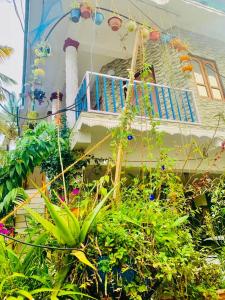 Mountain View Homestay外面的花园