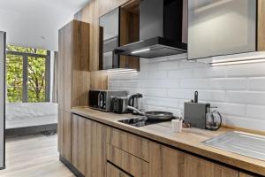 ブカレストにあるUni88 Apart Hotelのキッチン(シンクと電子レンジ付きのカウンター付)