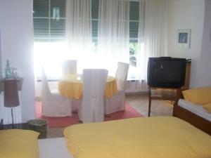 TV a/nebo společenská místnost v ubytování Hotel Am Ufer