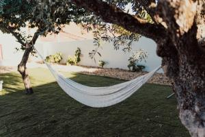 a hammock hanging from a tree in a yard at Casa Margarida in Albernoa