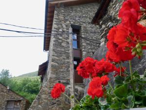 un edificio con flores rojas frente a una ventana en El Corral de Baró en Espot