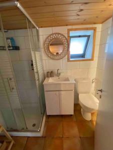 y baño con aseo, lavabo y ducha. en Bit cabin near the airport, en Kefar Daniyyel