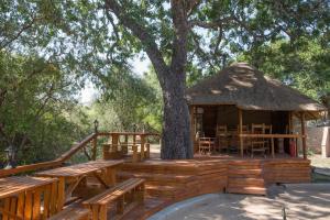Fotografie z fotogalerie ubytování Lion Tree Top Lodge v destinaci Guernsey Nature Reserve