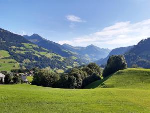 un champ vert avec des montagnes en arrière-plan dans l'établissement BergNest Großwalsertal, à Raggal