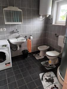 ein Badezimmer mit einem Waschbecken, einem WC und einer Waschmaschine in der Unterkunft Apartment Sinčić in Kastav